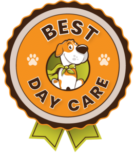 Best Day Care Badge