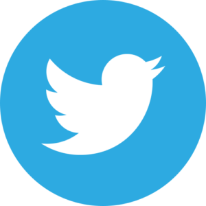 twitter icon