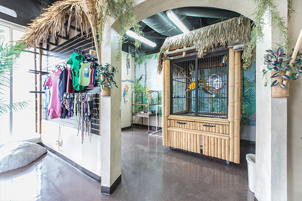 Pet Boarding and Dog Daycare In Leawood KS Sydney s Pet Resort