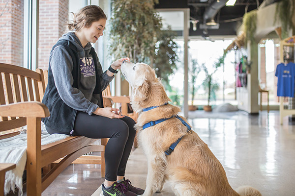 Dog sitting with trainer