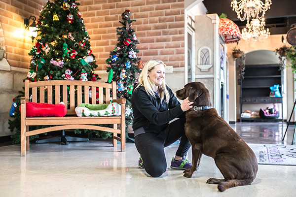 Sydney's Pet Resort indoors