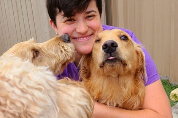 Staff hugging a golden retriever